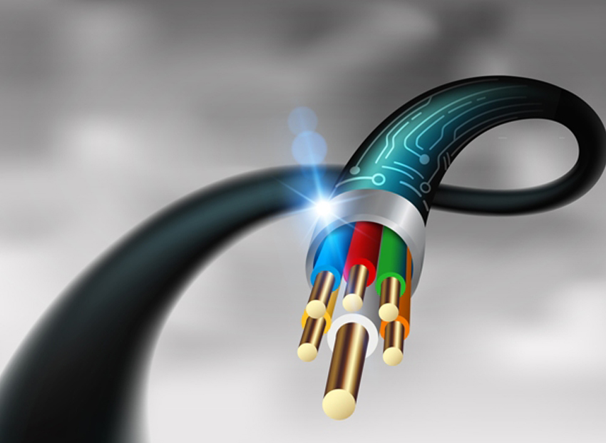 EV Wiring Harness